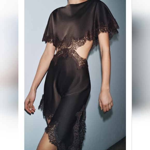 Zara Dresses & Skirts - Zara ZW COLLECTION LACE CUT-OUT DRESS